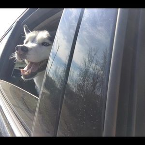 Meet your Posher, Violetta